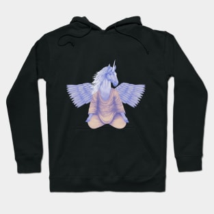 meditating pegasus 2 Hoodie